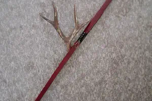 Bows